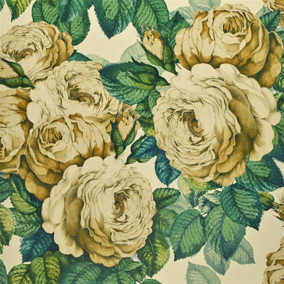 The Rose Sepia (Picture Book Papers)