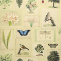 Flora And Fauna Parchment (Picture Book Wallpapers II)