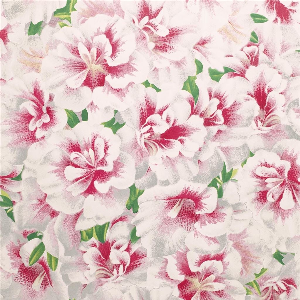 Variegated Azalea Azalea (Picture Book Papers)
