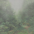 IOLANTA - Green/Grey