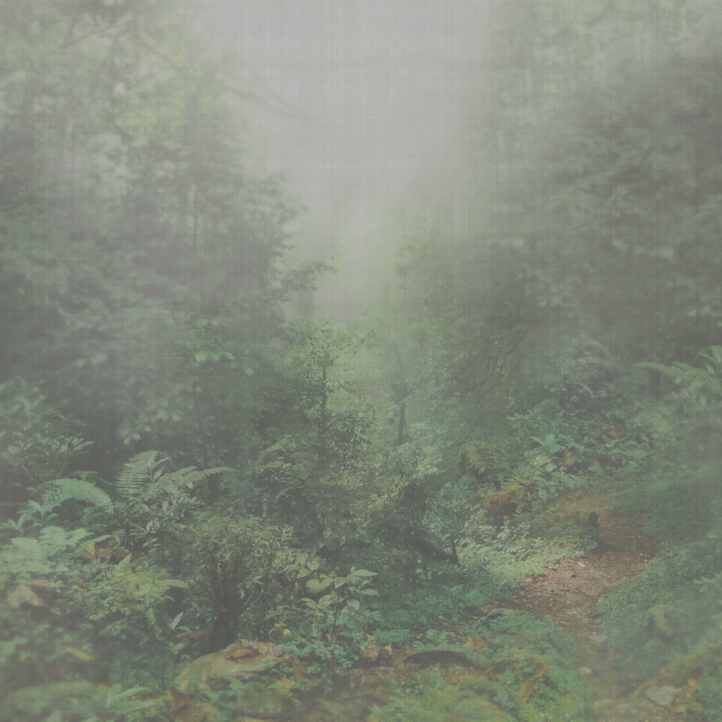 IOLANTA - Green/Grey