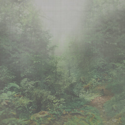 IOLANTA - Green/Grey