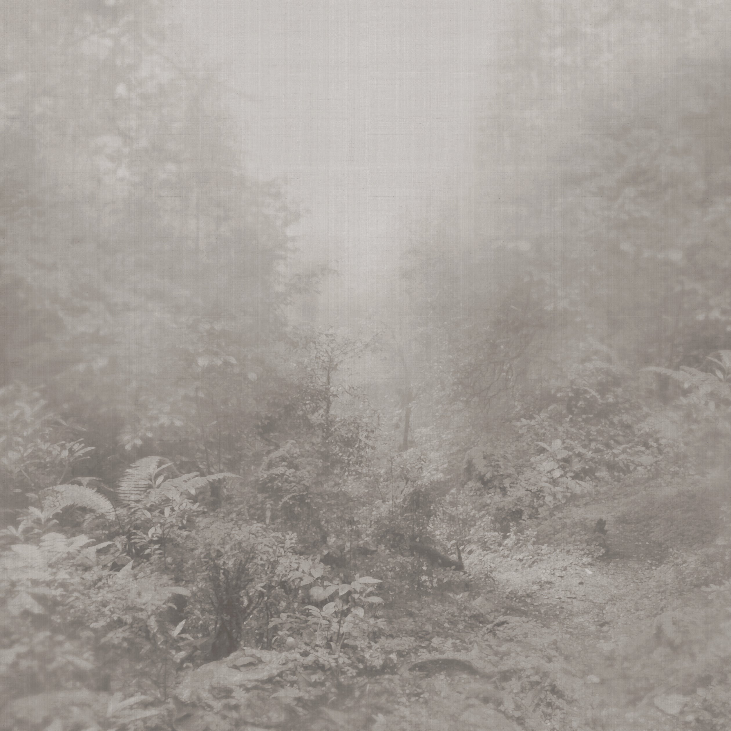 IOLANTA - Grey/White