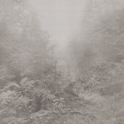 IOLANTA - Grey/White
