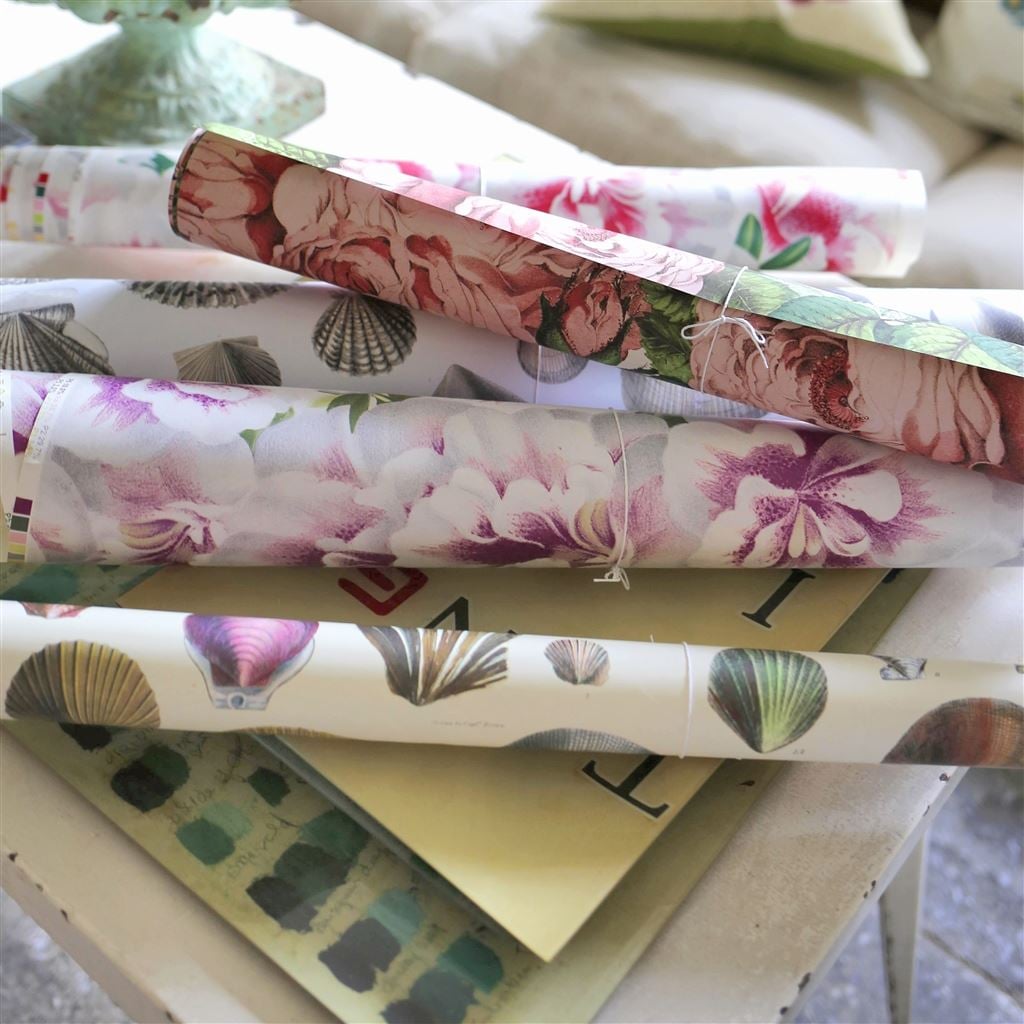 Variegated Azalea Azalea (Picture Book Papers)