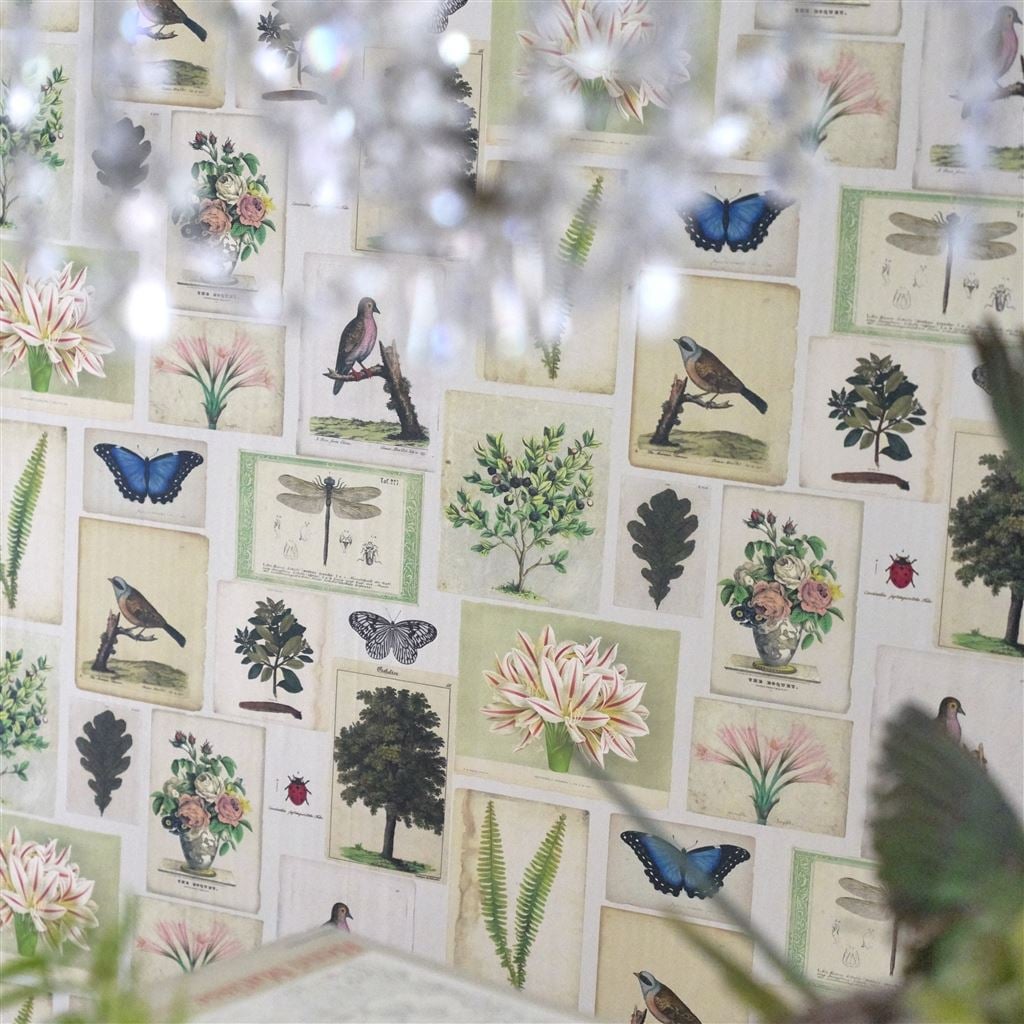 Flora And Fauna Parchment (Picture Book Wallpapers II)