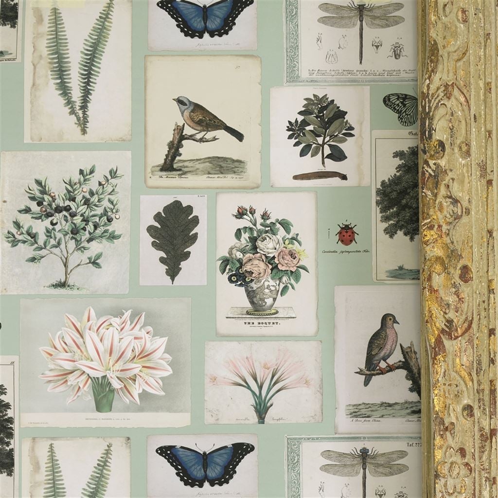 Flora And Fauna Parchment (Picture Book Wallpapers II)