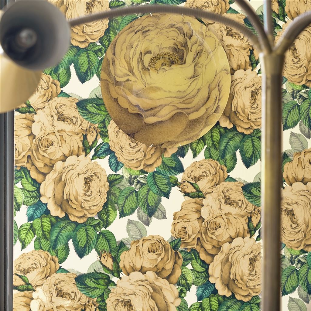The Rose Sepia (Picture Book Papers)