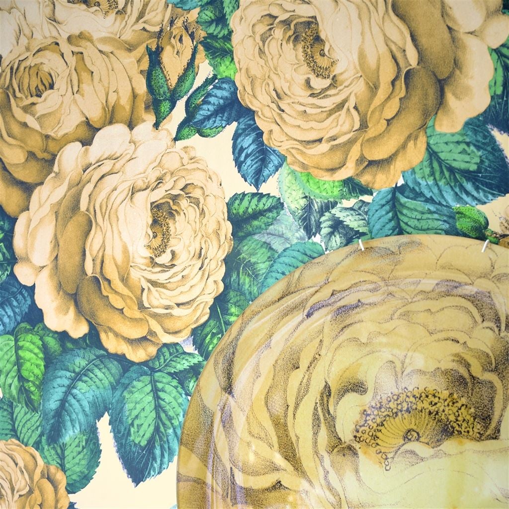The Rose Sepia (Picture Book Papers)