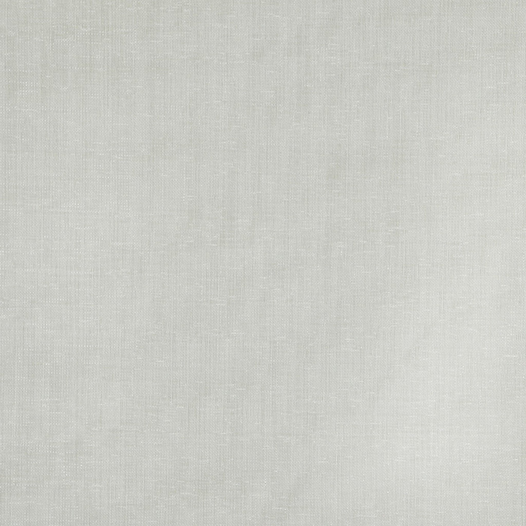 Glimpse Oyster