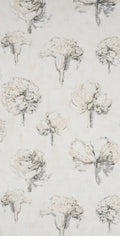 Beauregard Wheat - Dessins Signatures