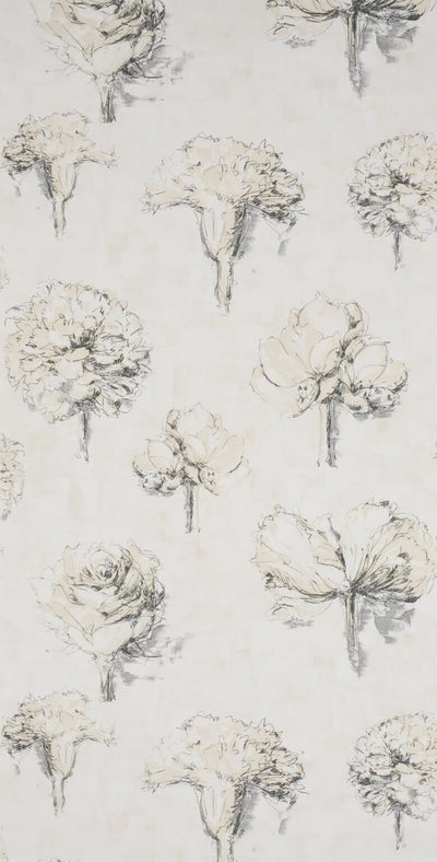 Beauregard Wheat - Dessins Signatures