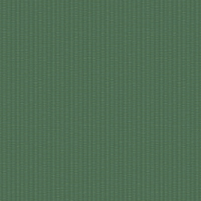 SHINJUKU - Green