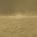 LEOPARDI MURAL - Gold
