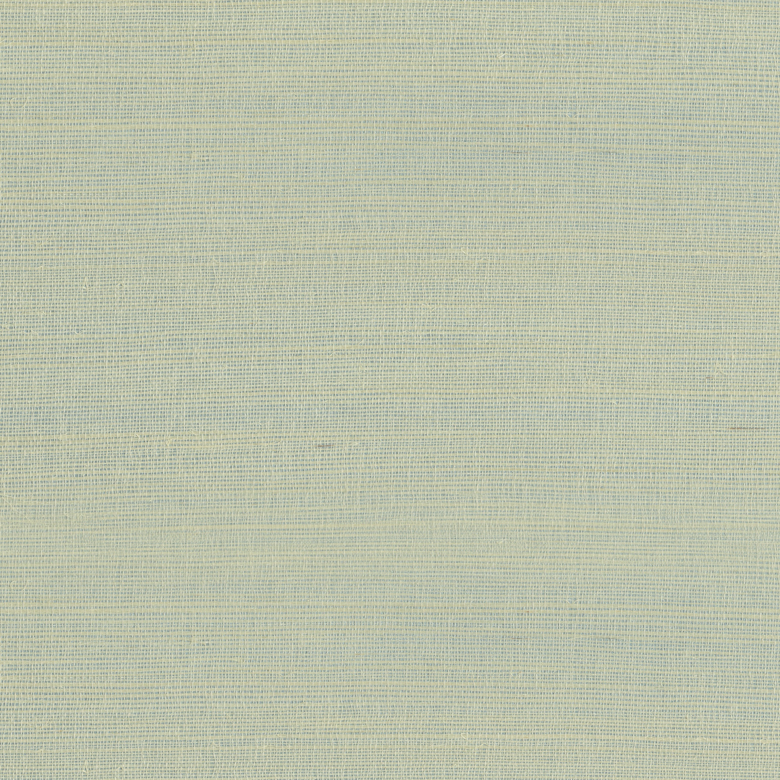 RAFIA PLAIN - Light Green