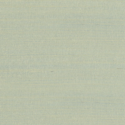 RAFIA PLAIN - Light Green