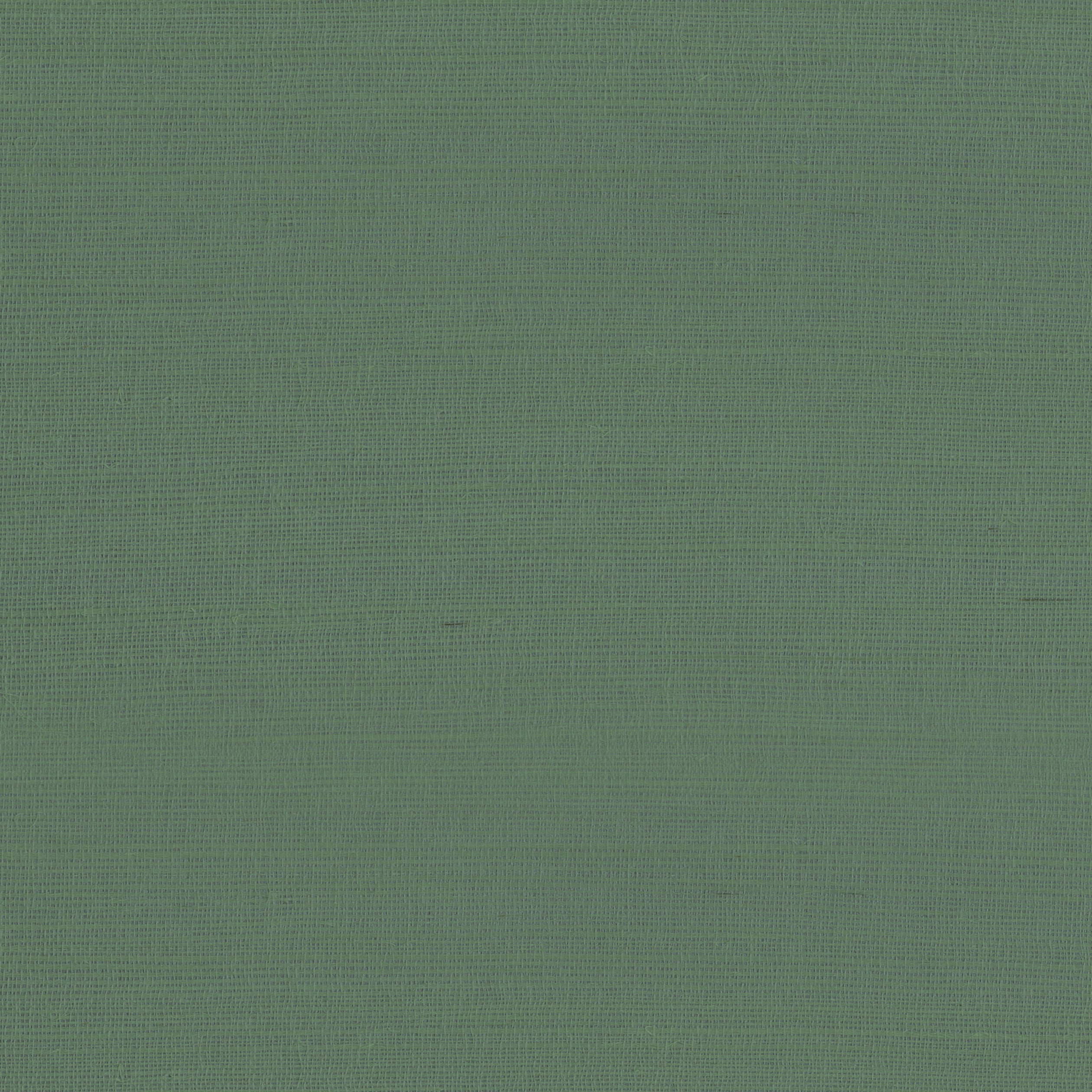 RAFIA PLAIN - Green
