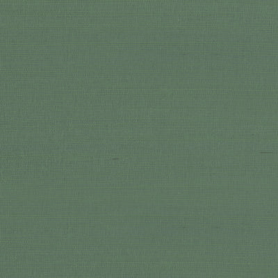 RAFIA PLAIN - Green