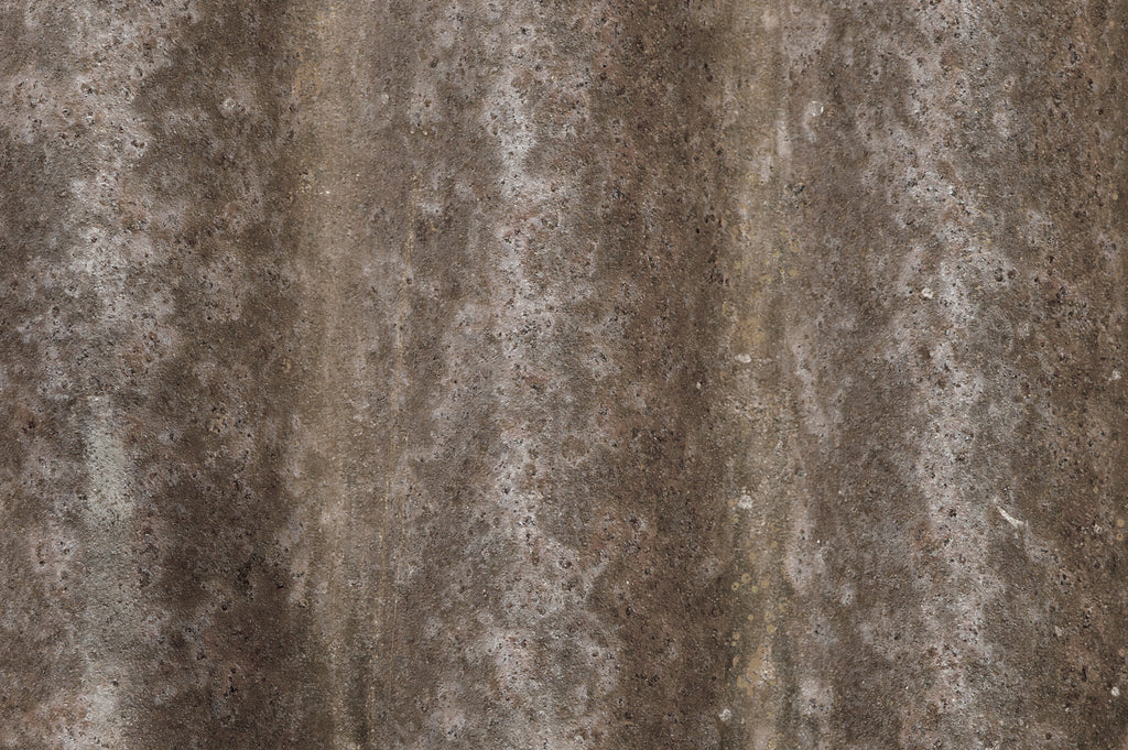RW 31