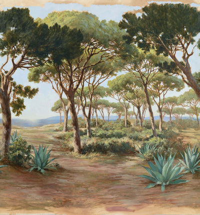 L'esterel Agave - Galerie