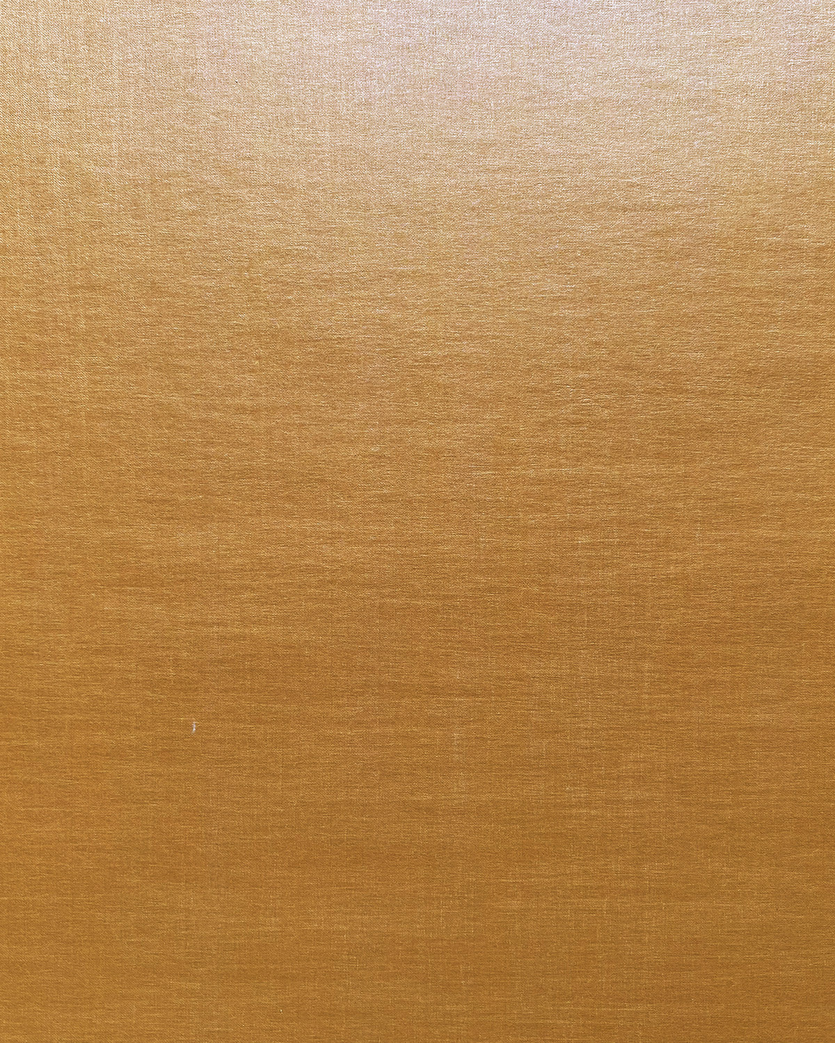 ABA016 (Basmati)