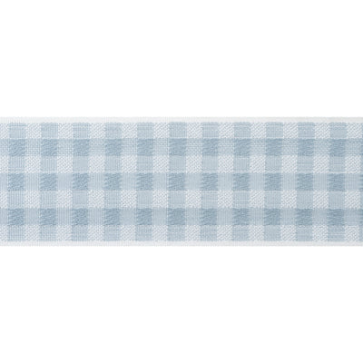 JUNE TAPE - Robin's Egg