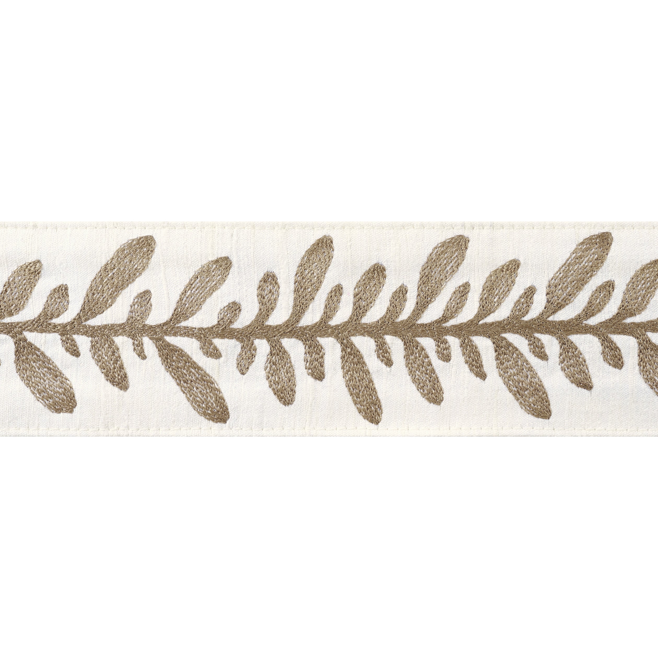 CALATHEA TAPE - Acorn