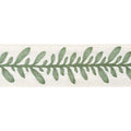 CALATHEA TAPE - Juniper