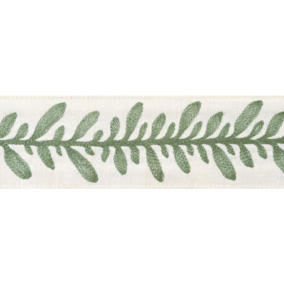 CALATHEA TAPE - Juniper