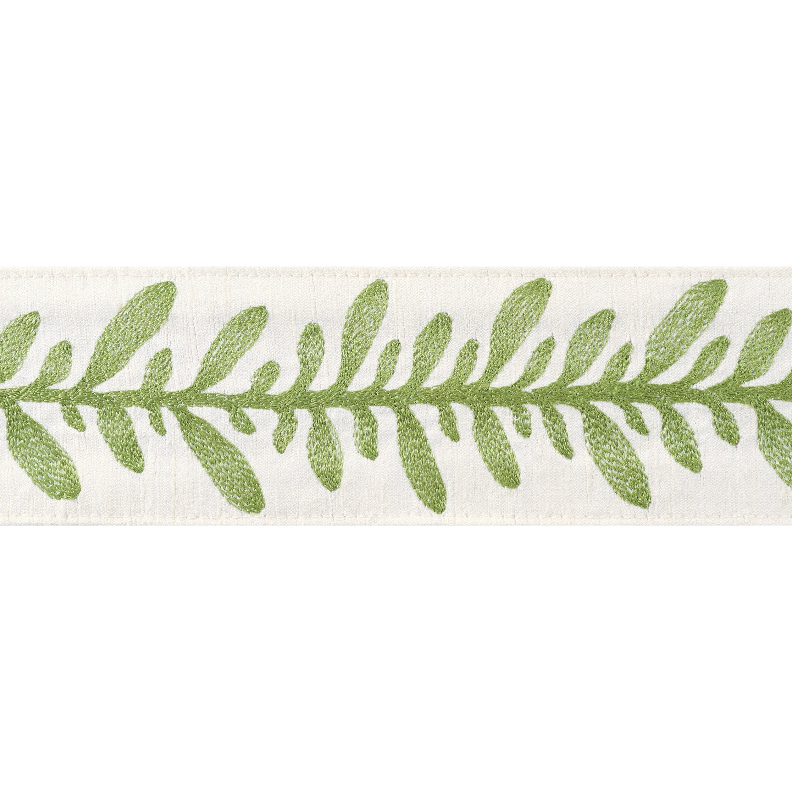 CALATHEA TAPE - Spring