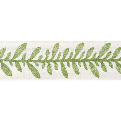 CALATHEA TAPE - Spring