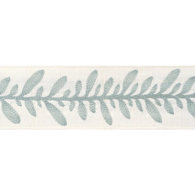 CALATHEA TAPE - Robin's Egg