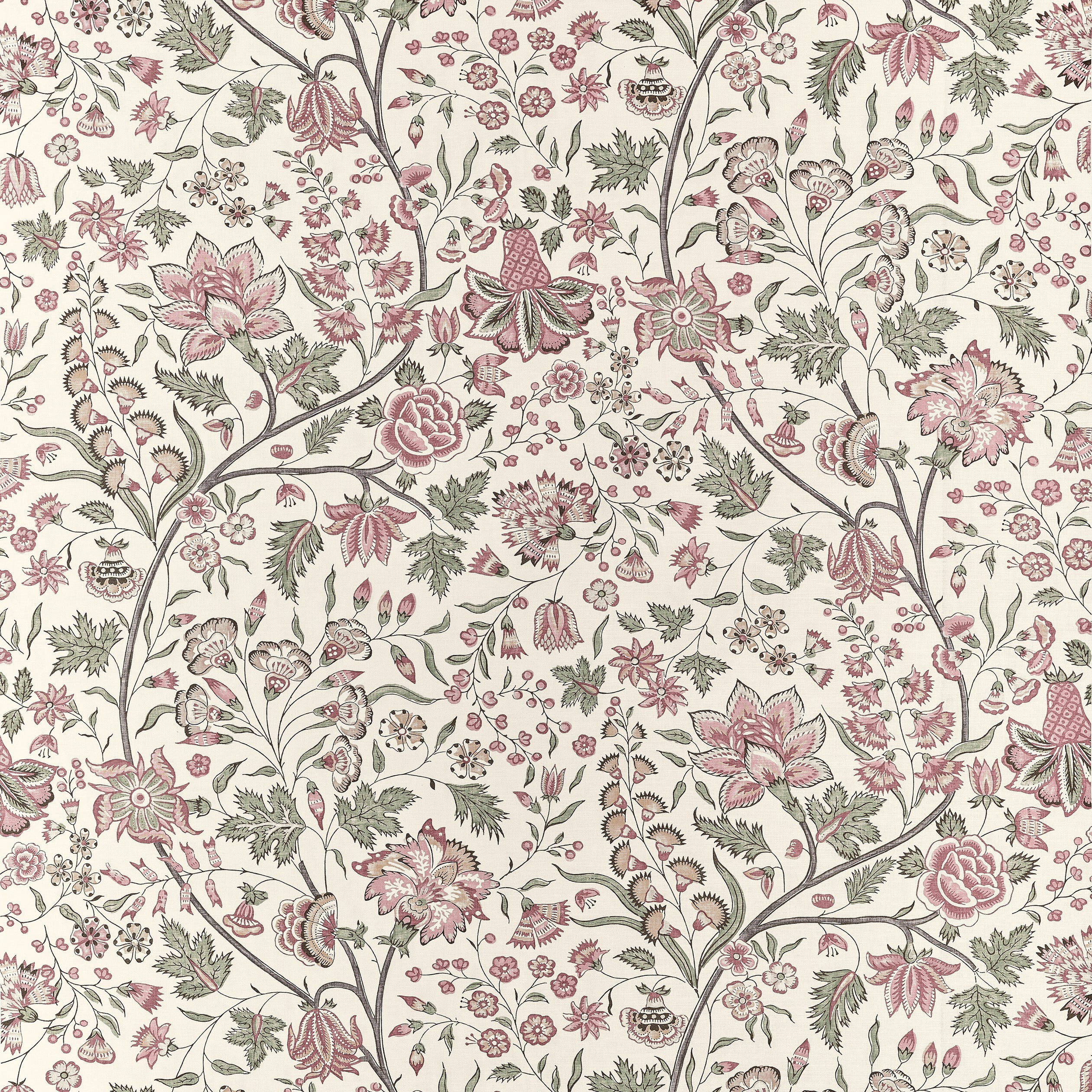 FRANCOIS - Blush