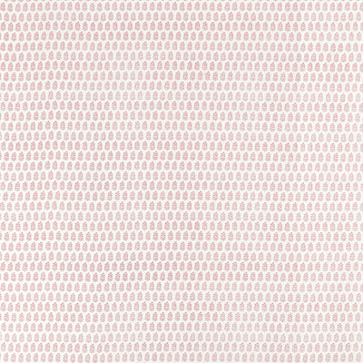 CHLOE - Blush