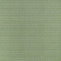 CHLOE - Green