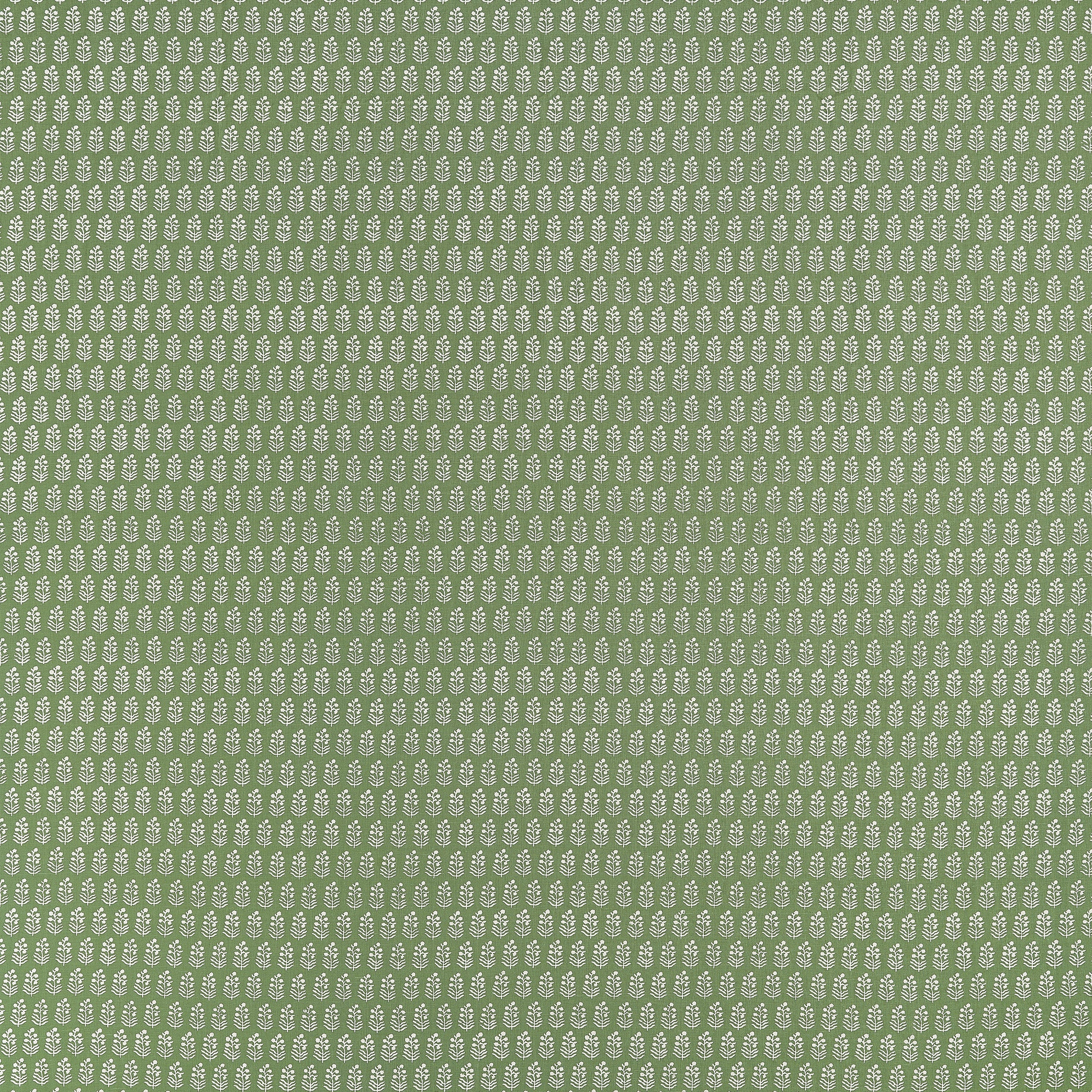 CHLOE - Green