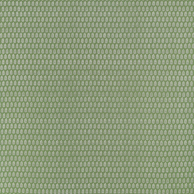 CHLOE - Green