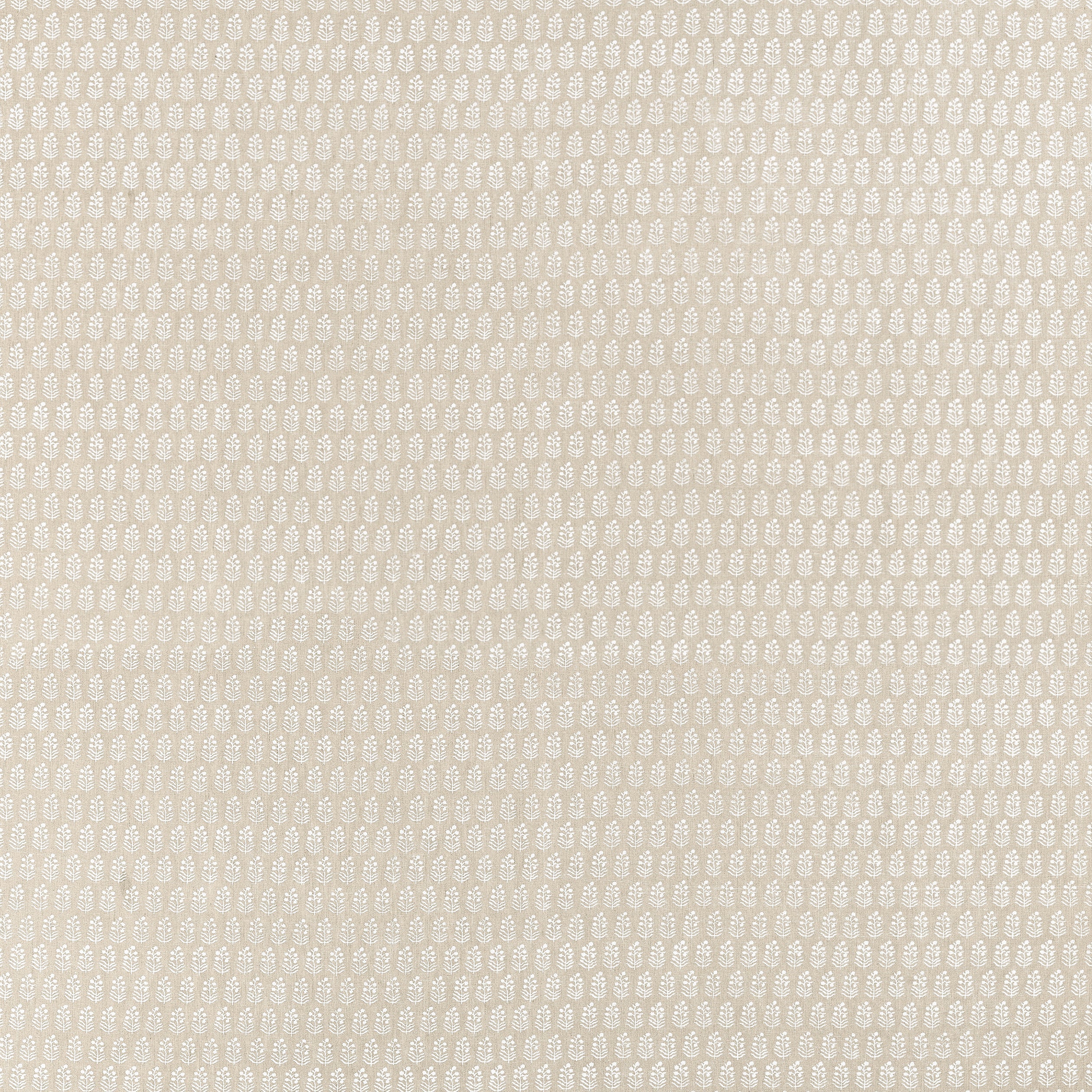 CHLOE - Beige