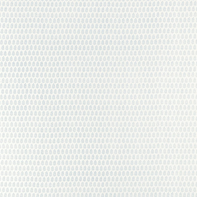 CHLOE - Blue on White