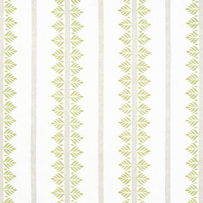 FERN STRIPE - Green