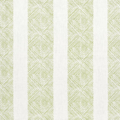 CLIPPERTON STRIPE - Green