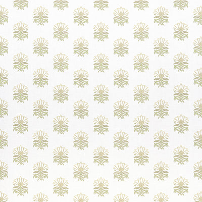 MILFORD - Beige and Green
