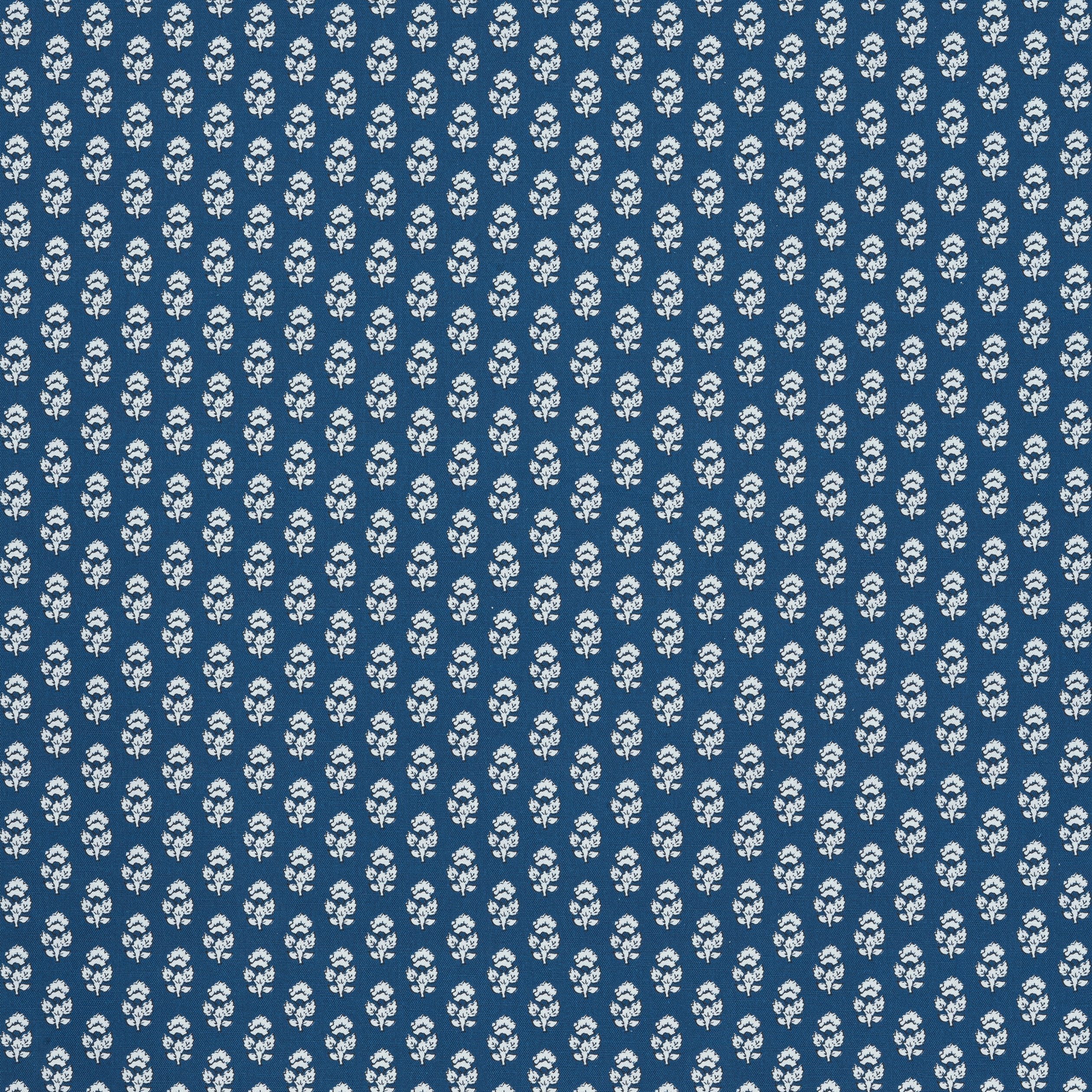JULIAN - Navy