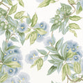 CAMELLIA GARDEN - Sky