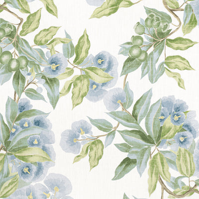 CAMELLIA GARDEN - Sky