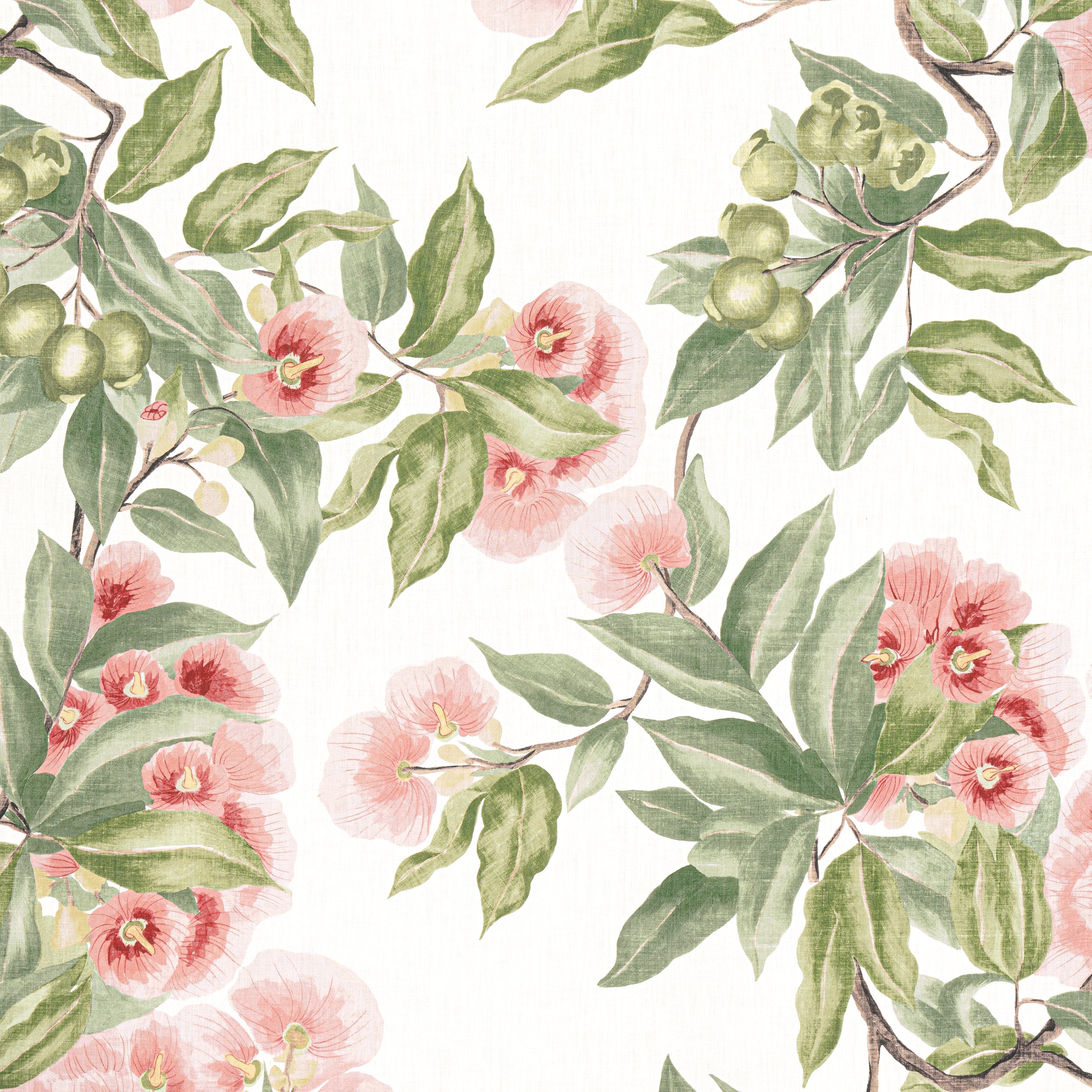 CAMELLIA GARDEN - Coral