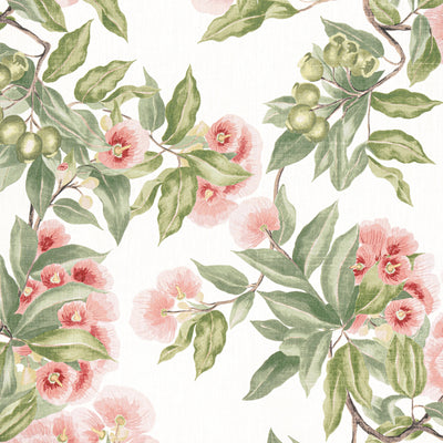 CAMELLIA GARDEN - Coral