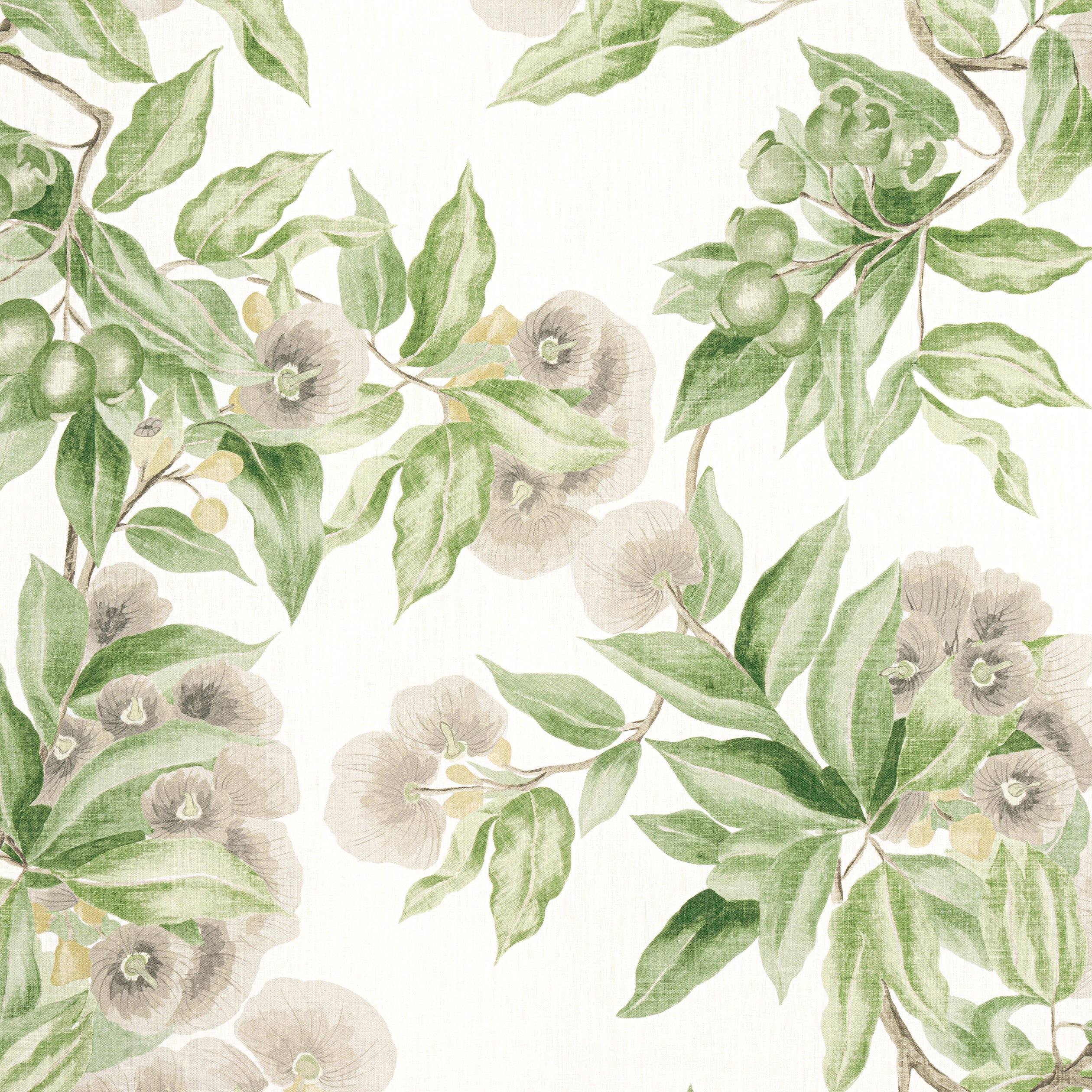 CAMELLIA GARDEN - Spring on White