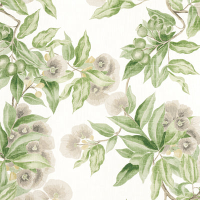 CAMELLIA GARDEN - Spring on White
