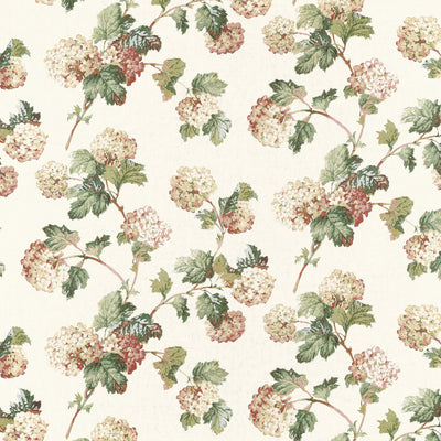 SUSSEX HYDRANGEA - Soft Gold